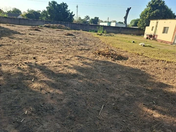 Stands & Residential Land