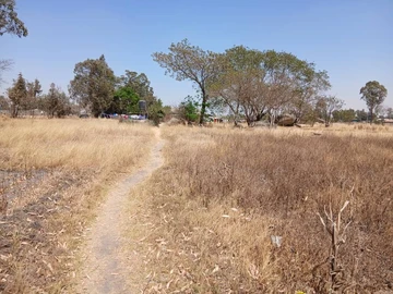 Commercial & Industrial Land