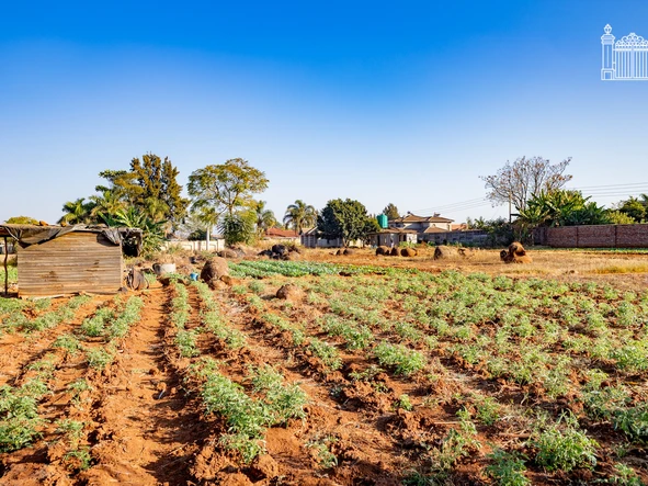 Stands & Residential Land