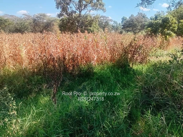 Highlands Land For Sale 