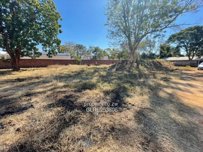 Vacant 8019m² Vainona Stand — Subdividable & Serviced