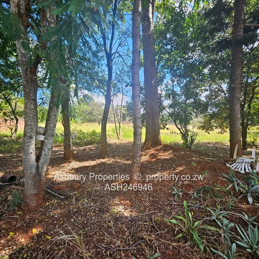 Prime Investment Opportunity in Mandara (Sole Mandate)