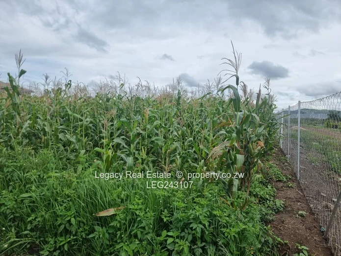 Investment Opportunity – Sandton Stand for Sale