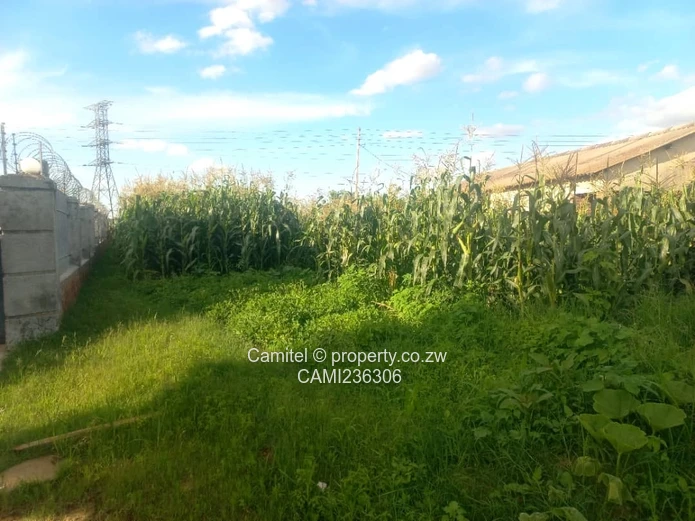 300m² Stand for Sale in Granary Park — Secure, Serviced (Sole Mandate)