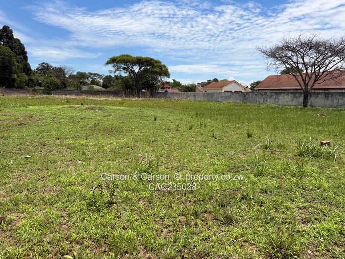 Prime Stand in Elite area of B/dale North 