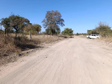 Land