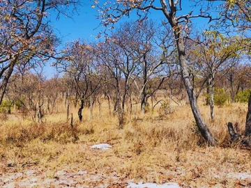 Farm & Agricultural Land