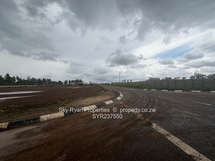 Mount Hampden Industrial stands for sale 