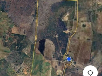 Farm & Agricultural Land