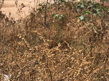 Commercial & Industrial Land