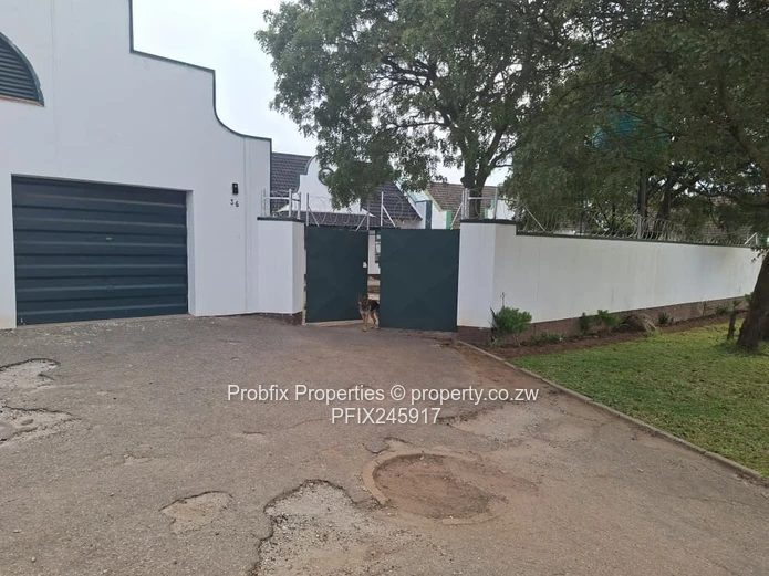 Msasa Investment opportunity