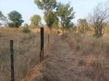 Farm & Agricultural Land