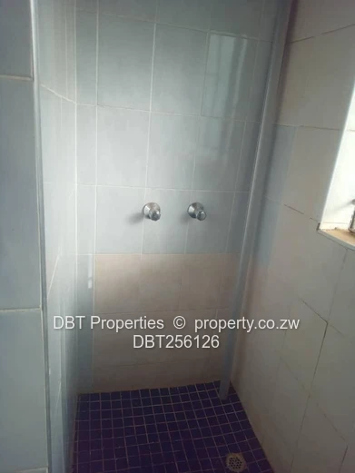 Solid Property