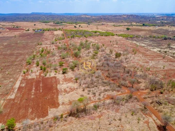 Farm & Agricultural Land