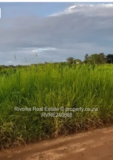 Ideal for immaculate residential house