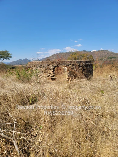 Solid Investment Opportunity Alert! (Sole Mandate)