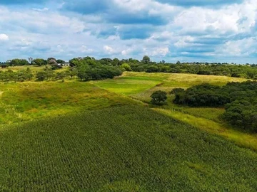 Farm & Agricultural Land
