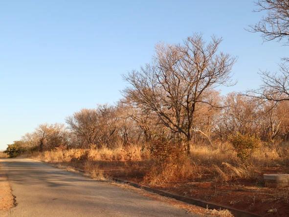 Farm & Agricultural Land