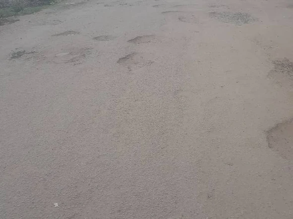 Stands & Residential Land