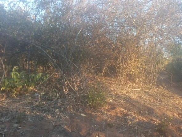 Commercial & Industrial Land