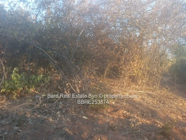 Commercial Stand For Sale – Victoria Falls (Sole Mandate)