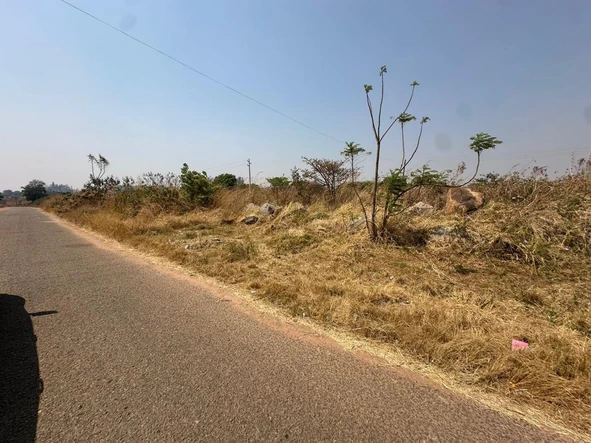 Commercial & Industrial Land