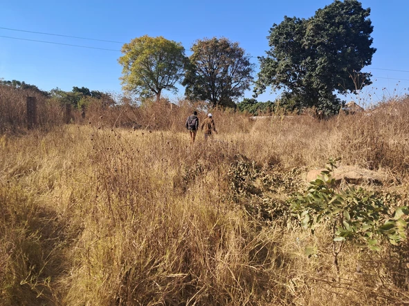 Stands & Residential Land