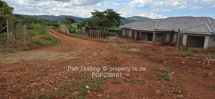 Spacious residential stand near the gold