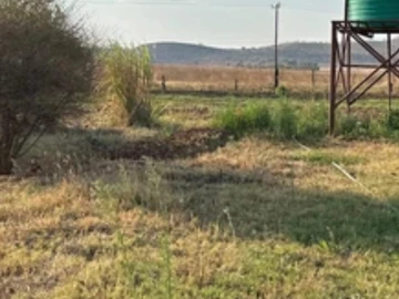 Stands & Residential Land