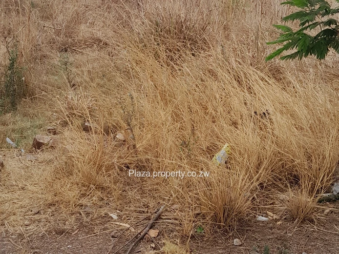 Residential stands for sale in Fairview