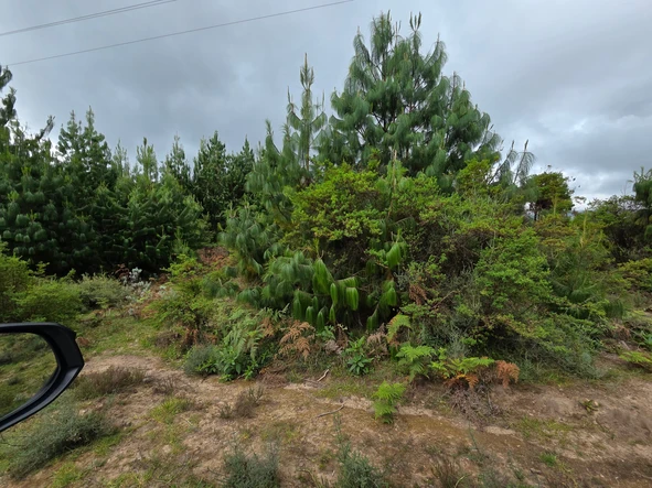 Commercial & Industrial Land