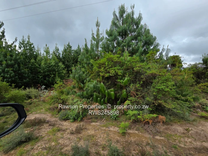 Prime 4.2ha Commercial Land with Panoramic Nyanga Views