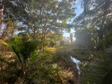 Commercial & Industrial Land