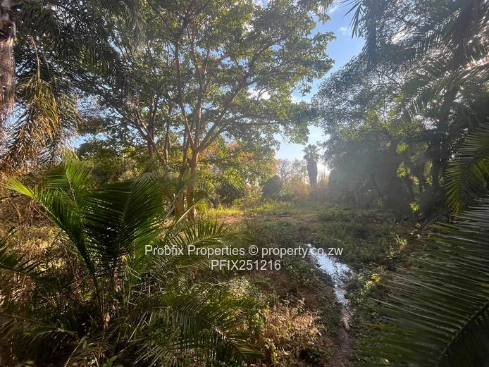 Prime Commercial Land For Sale In Avondale