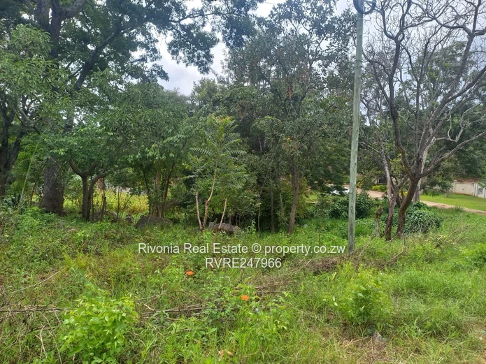 Mature old neighborhood 