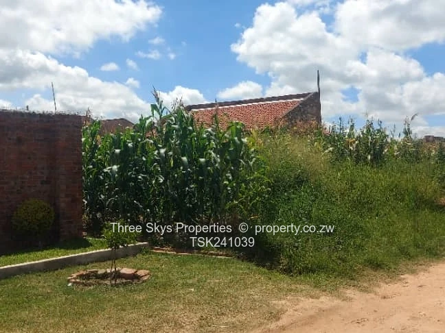 Budiriro  - Muzariri Area Close To Current Shops