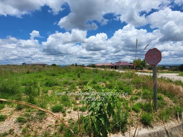 Stands for Sale in Chinhoyi St Ives 