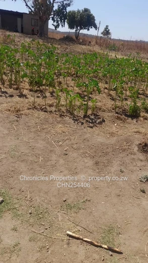 Rainham Plot For Sale