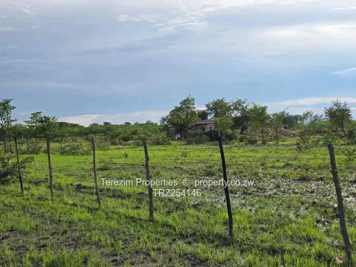 Kadoma: Prime School Stand For Sale