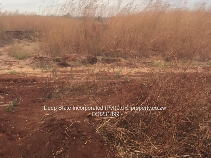 Pomona Buckland Terrace  Stand For Sale