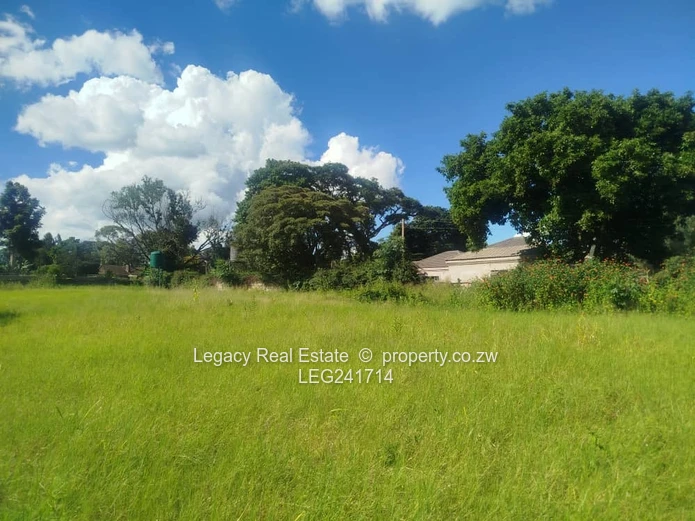 Prime Lavenham Road Frontage Open Space for Rent
