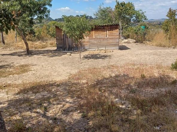 Stand For Sale In Scenic Charlotte Brooke
