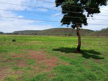 Farm & Agricultural Land