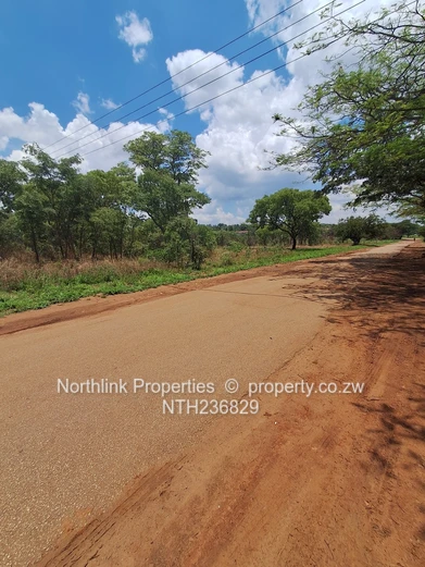 Vacant residential stands 