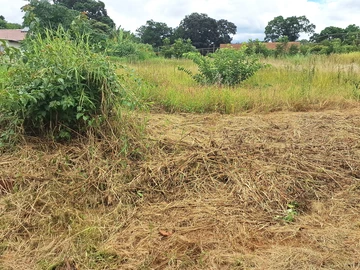 Stands & Residential Land