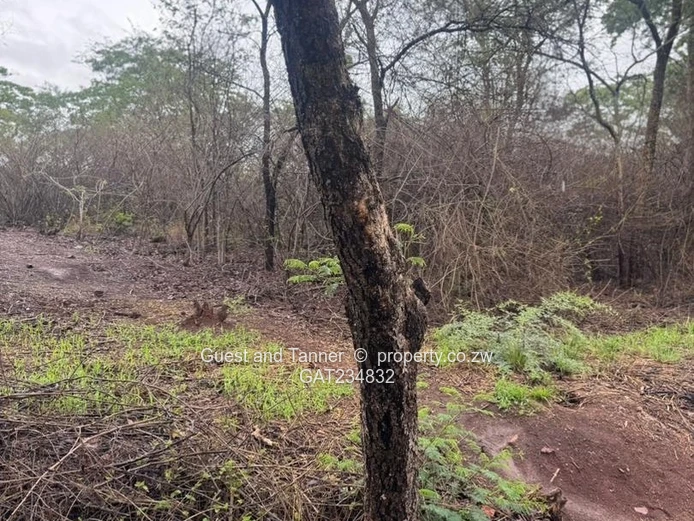 Residential Stand For Sale In Shawasha Hills, Harare,