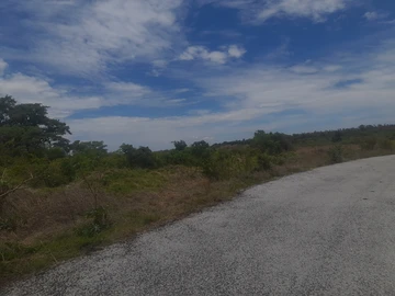 Farm & Agricultural Land