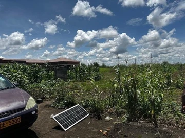 Build Your Dream Home