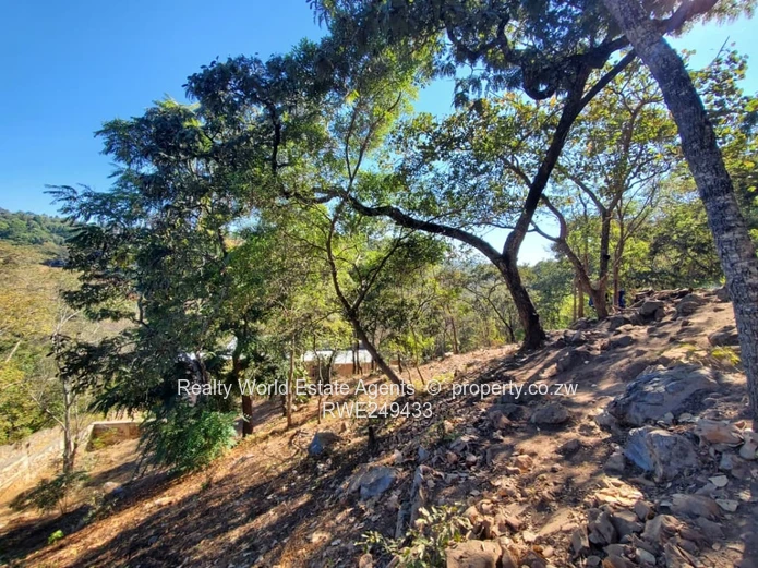 Residential Stand for Sale – Glen Lorne