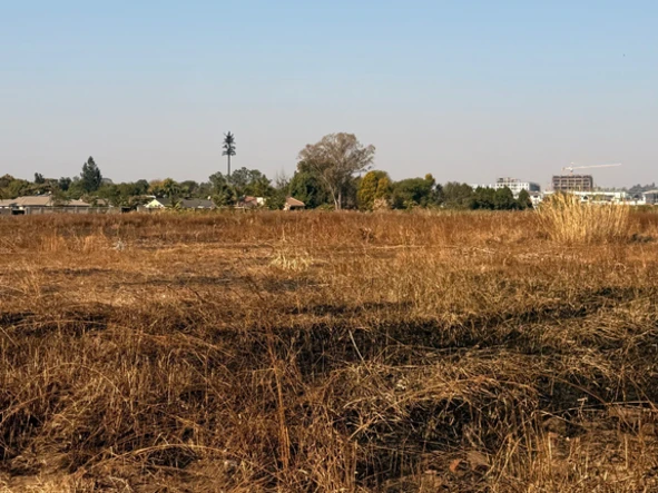 Stands & Residential Land